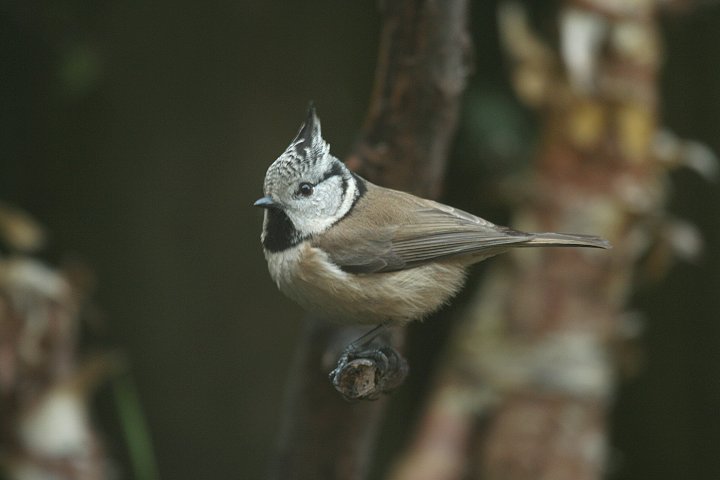 �J�������K��