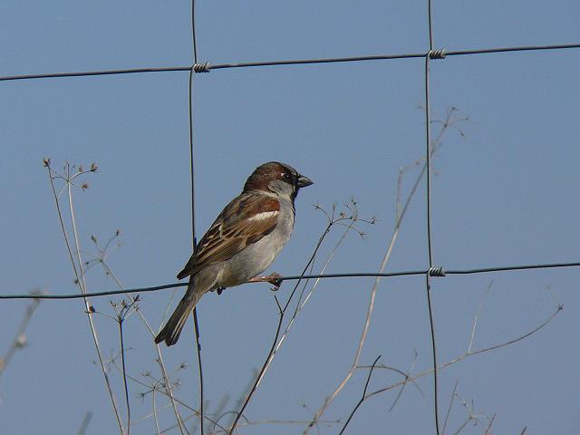 �C�G�X�Y���́�