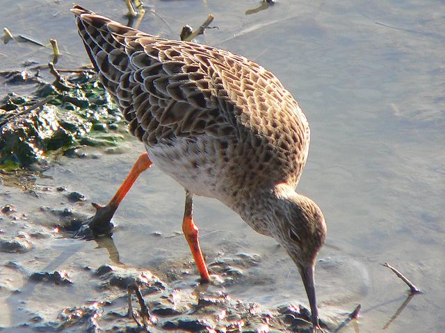 �G���}�L�V�M�i�~�H�j