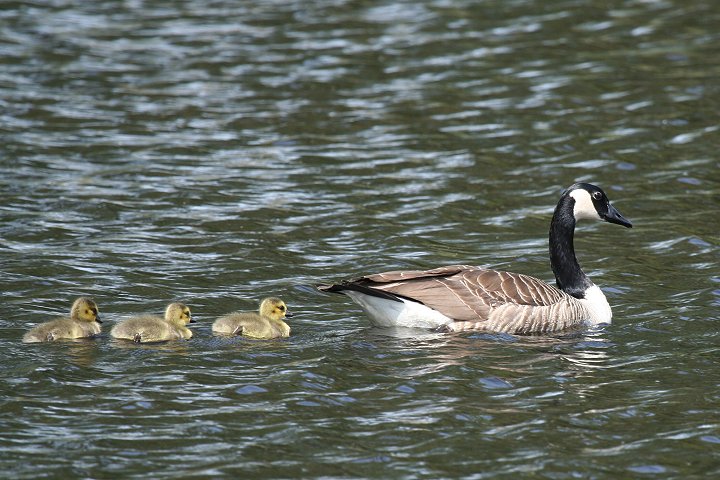 �J�i�_�K��