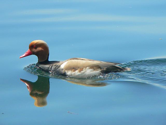 �A�J�n�V�n�W��