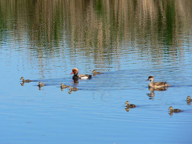 �A�J�n�V�n�W��