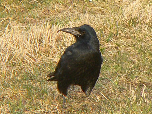 ���^���K���X