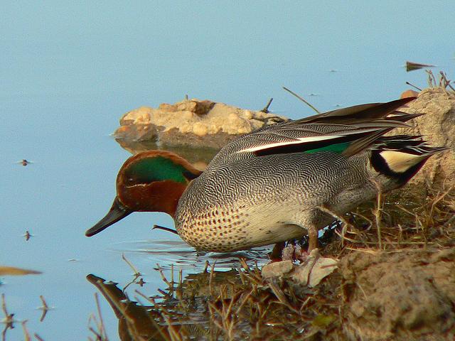 �R�K���́�