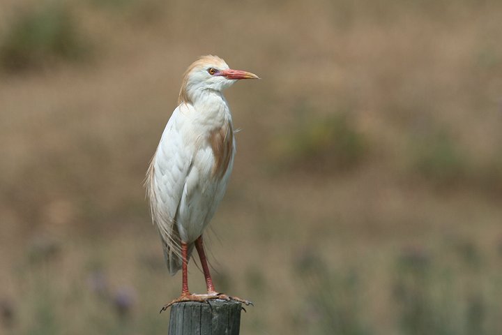 �A�}�T�M�i�����F�j