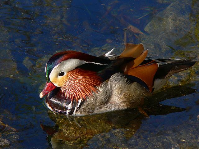 �I�V�h����