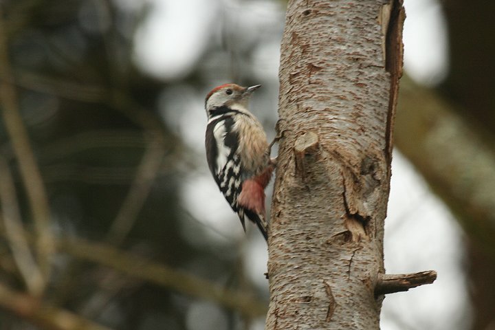 �q���A�J�Q��