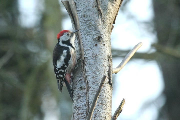 �q���A�J�Q��