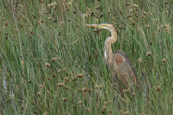 �����T�L�T�M