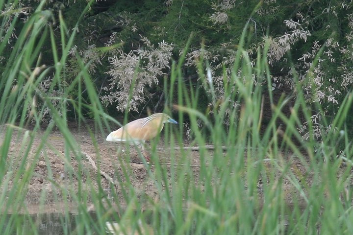 �J�������T�M�i�����F�j