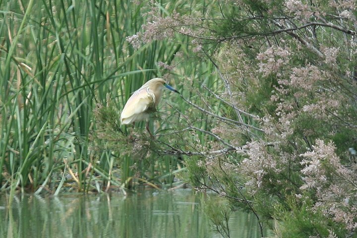 �J�������T�M�i�����F�j