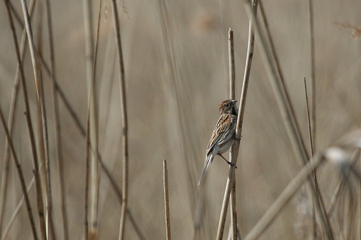 �I�I�W�������́�