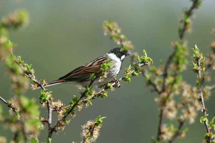 �I�I�W�������́�