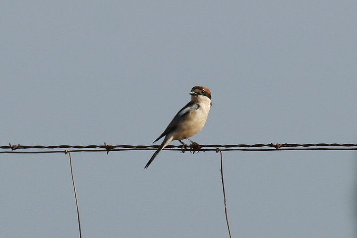 �Y�A�J���Y