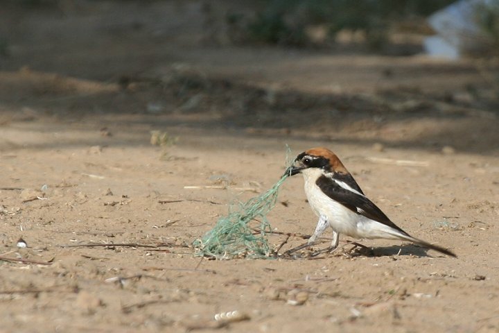 �Y�A�J���Y