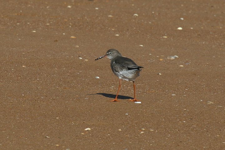 �A�J�A�V�V�M�i�~�H�j