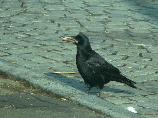 �~���}�K���X