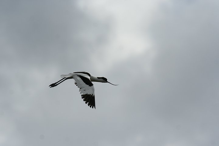 �\���n�V�Z�C�^�J�V�M