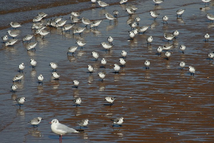 �~���r�V�M