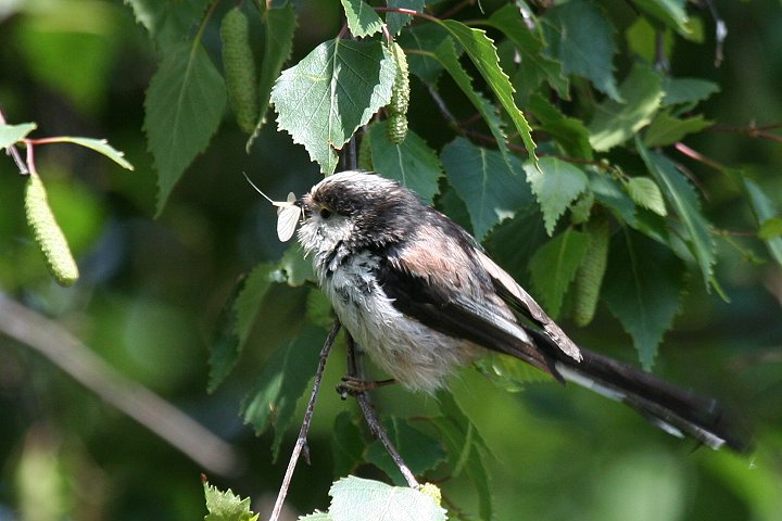 �G�i�K�i�����j