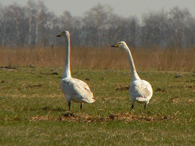 �I�I�n�N�`���E