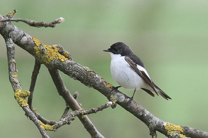 �}�_���q�^�L