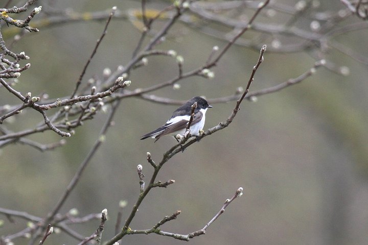 �}�_���q�^�L