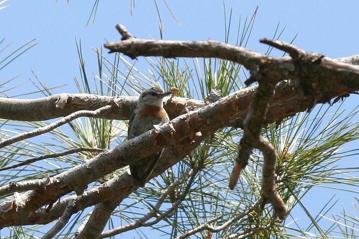 ���i�I�r�S�W���E�J��