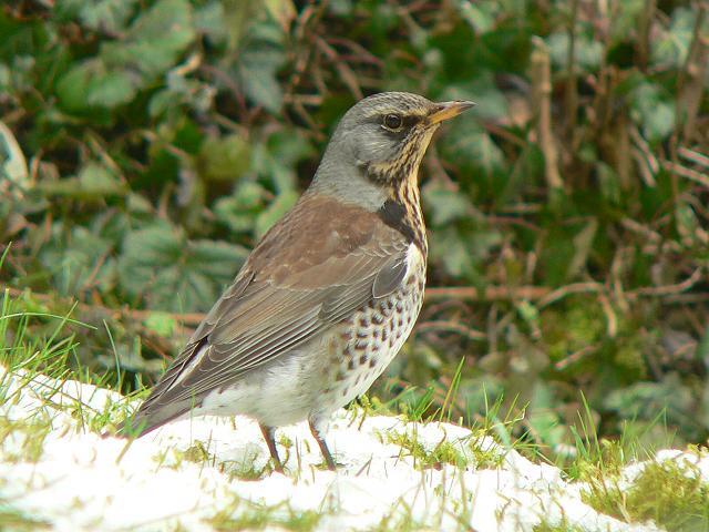 �m�n���c�O�~