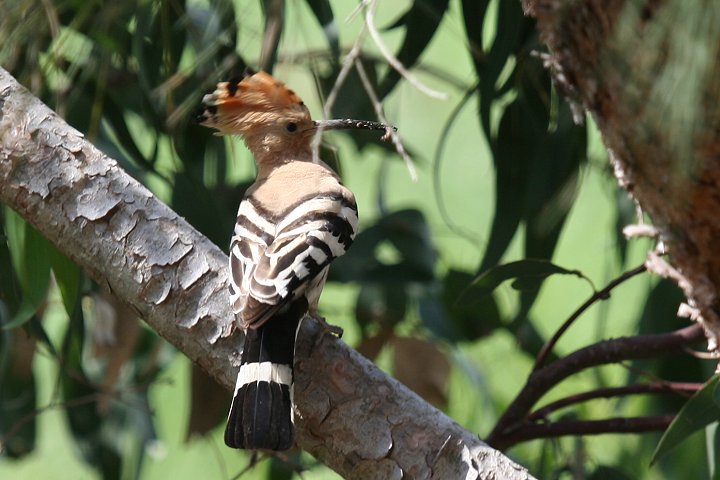 ���c�K�V��