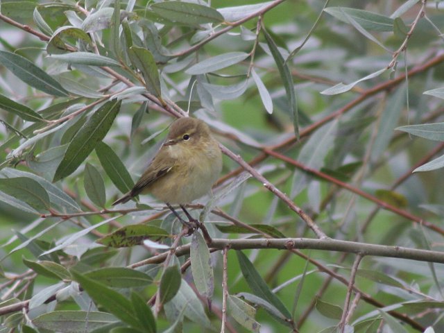 �`�t�`���t