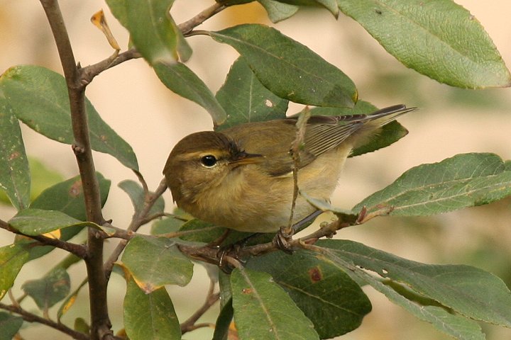 �`�t�`���t