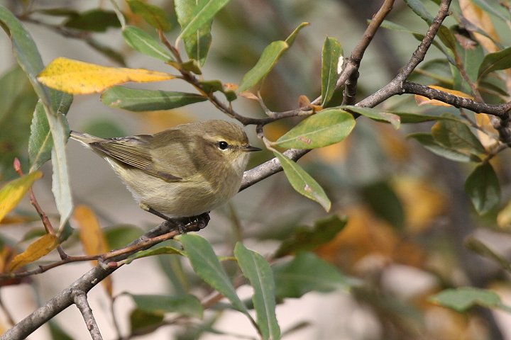 �`�t�`���t