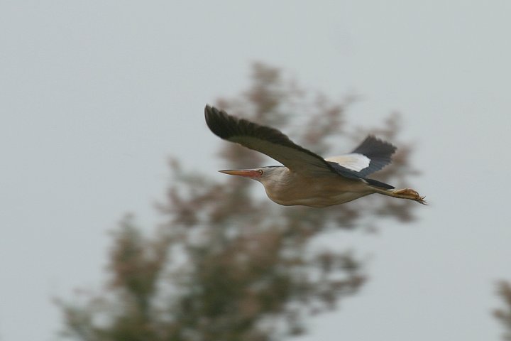 �q�����V�S�C