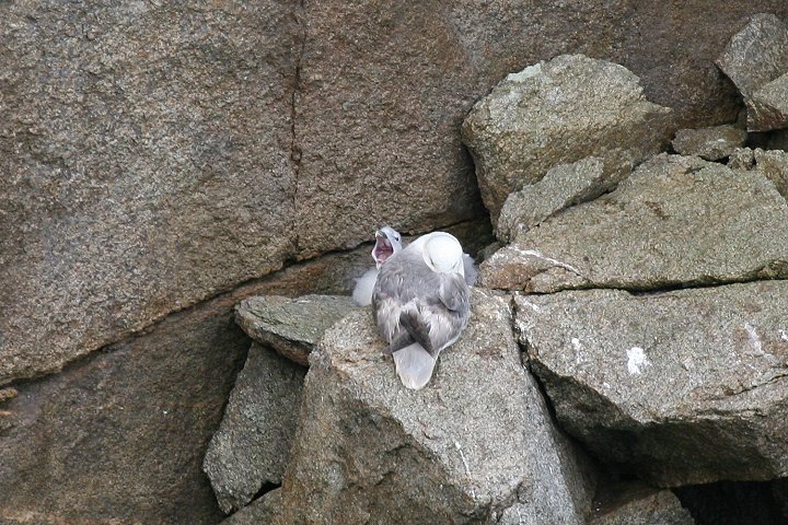 �t���}�J����