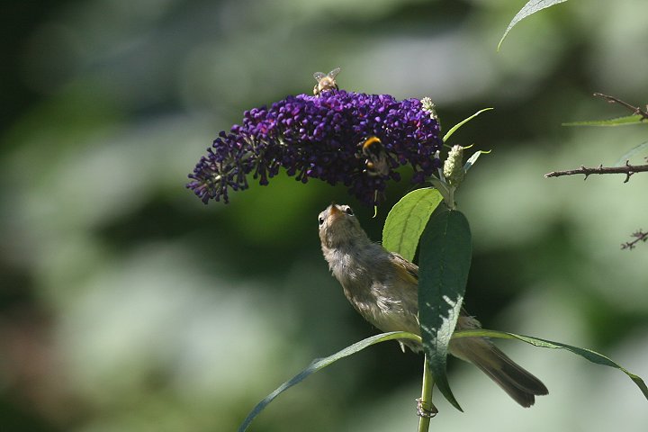 �`�t�`���t