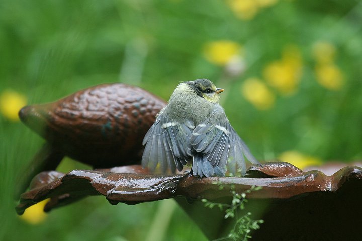 �A�I�K���̗c��