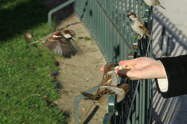 �C�G�X�Y��