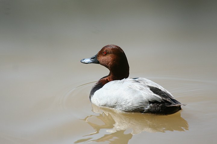 �z�V�n�W��