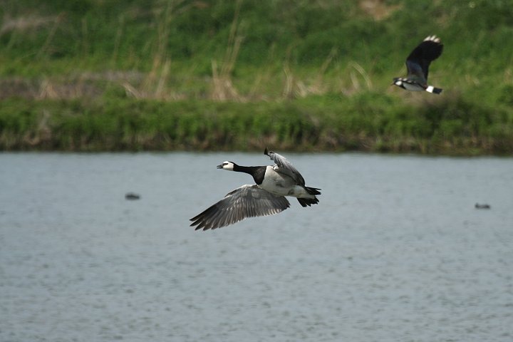 �J�I�W���K��