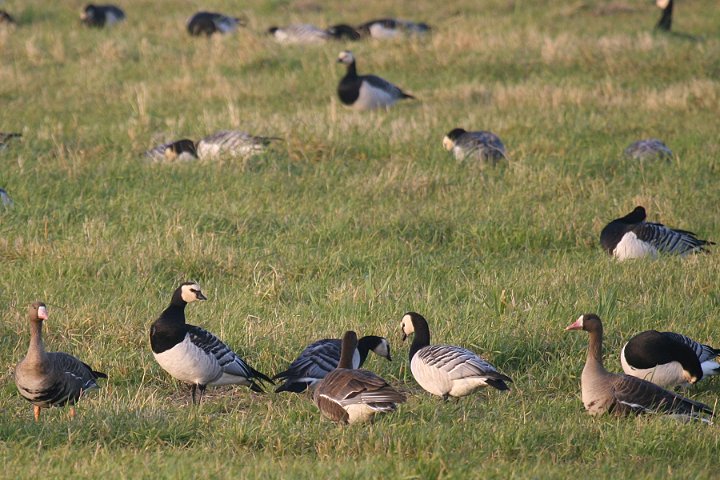 �J�I�W���K��